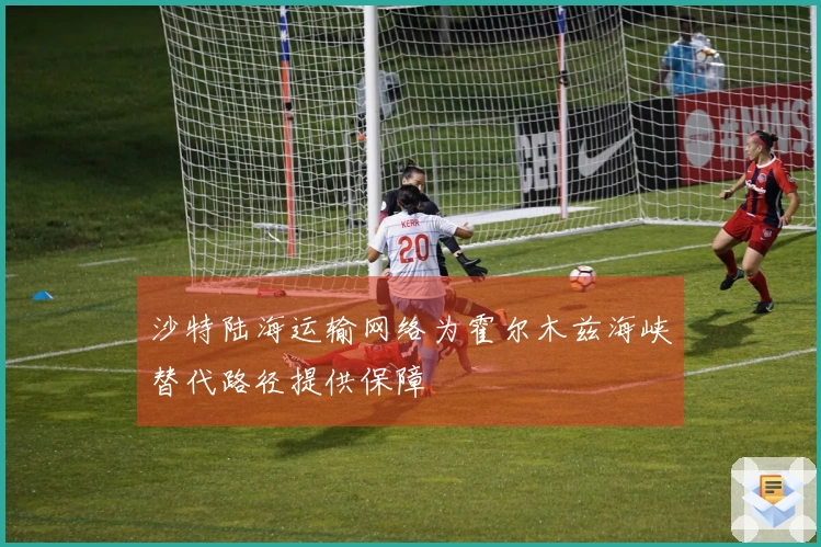 沙特陆海运输网络为霍尔木兹海峡替代路径提供保障