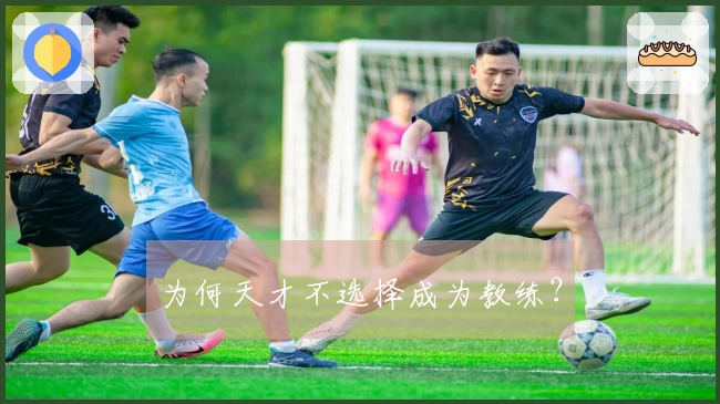 为何天才不选择成为教练？