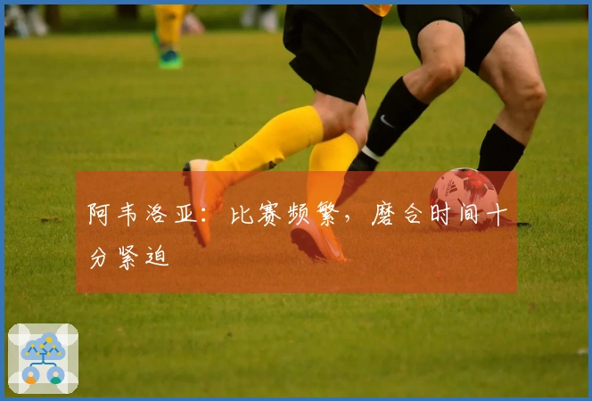 阿韦洛亚：比赛频繁，磨合时间十分紧迫